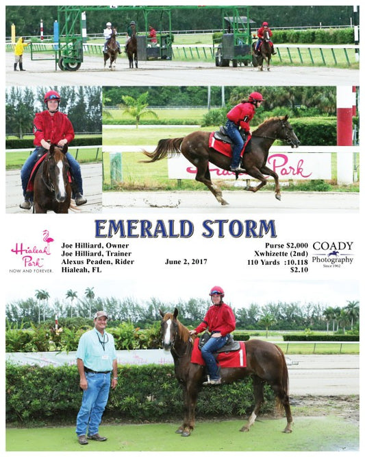EMERALD STORM - 060217 - Race 09 - HIA