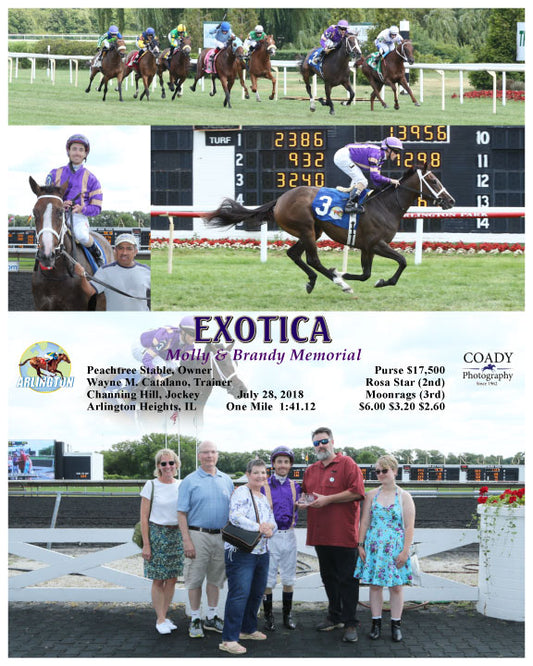 EXOTICA - 072818 - Race 04 - AP - Group