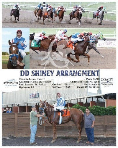 DD Shiney Arrangment - 101114 - Race 02 - EVD