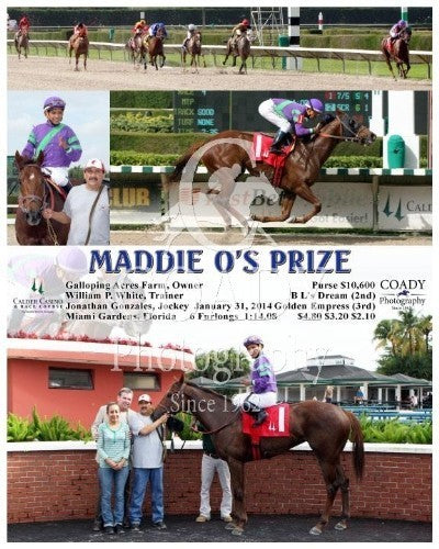 MADDIE O'S PRIZE - 013114 - Race 04 - CRC