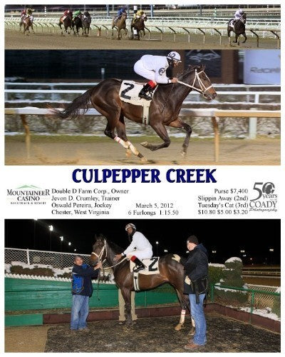 CULPEPPER CREEK - 030512 - Race 03