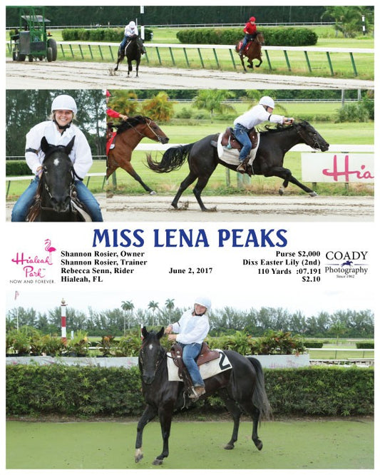 MISS LENA PEAKS - 060217 - Race 12 - HIA