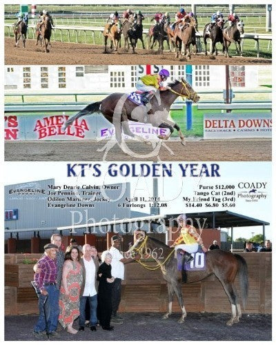KT'S Golden Year - 041114 - Race 02 - EVD