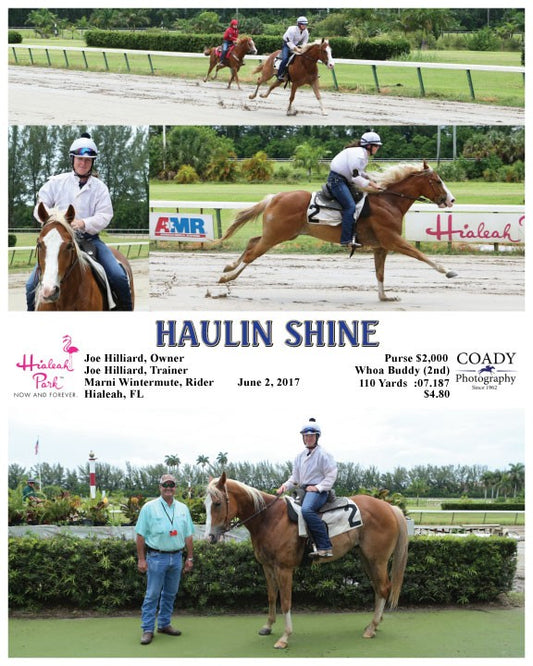 HAULIN SHINE - 060217 - Race 04 - HIA