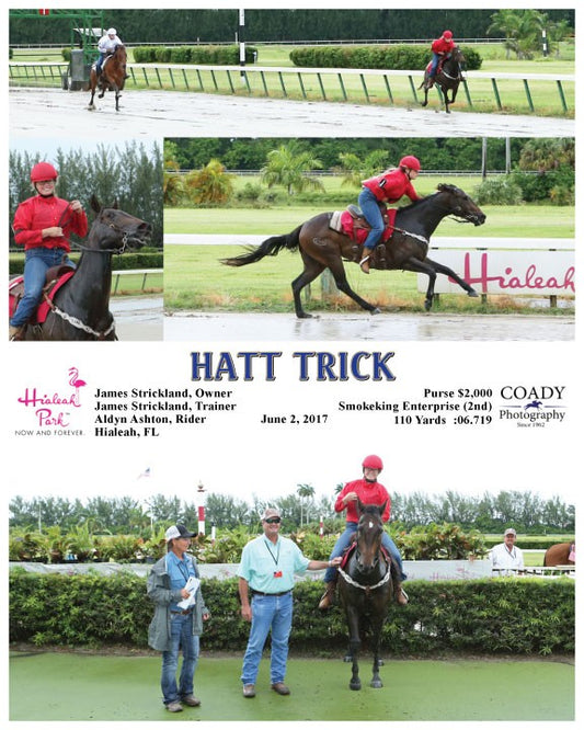 HATT TRICK - 060217 - Race 01 - HIA