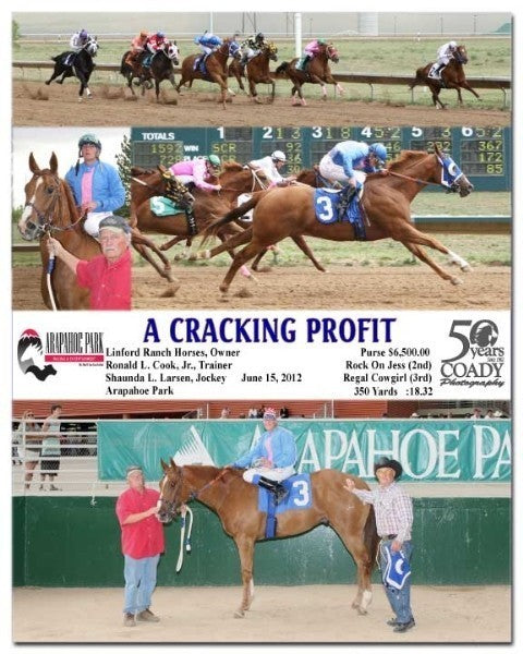 A Cracking Profit - 061512 - Race 04