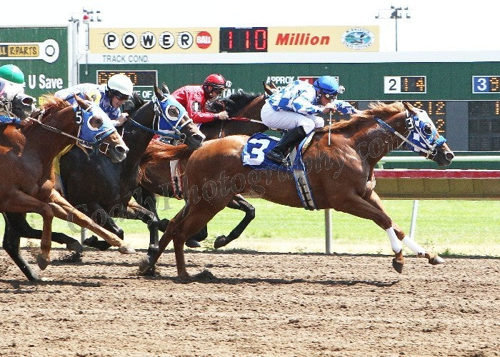 RED HOT ZOOMER - Finish  - Dash In A Flash Stakes
