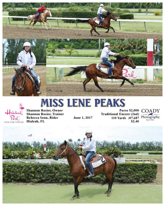 MISS LENE PEAKS - 060117 - Race 09 - HIA