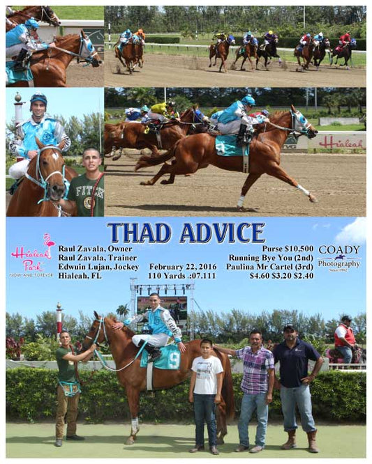 THAD ADVICE - 022216 - Race 01 - HIA