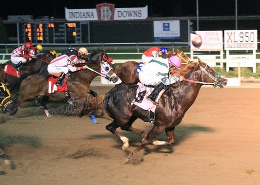 Jhony Red - The Indiana Grand QHRAI Derby Classic