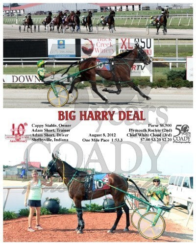 Big Harry Deal - 080812 - Race 02