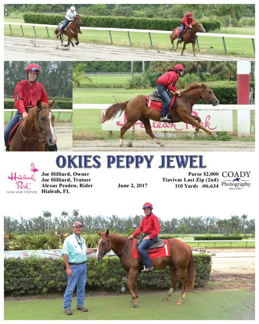 OKIES PEPPY JEWEL - 060217 - Race 13 - HIA