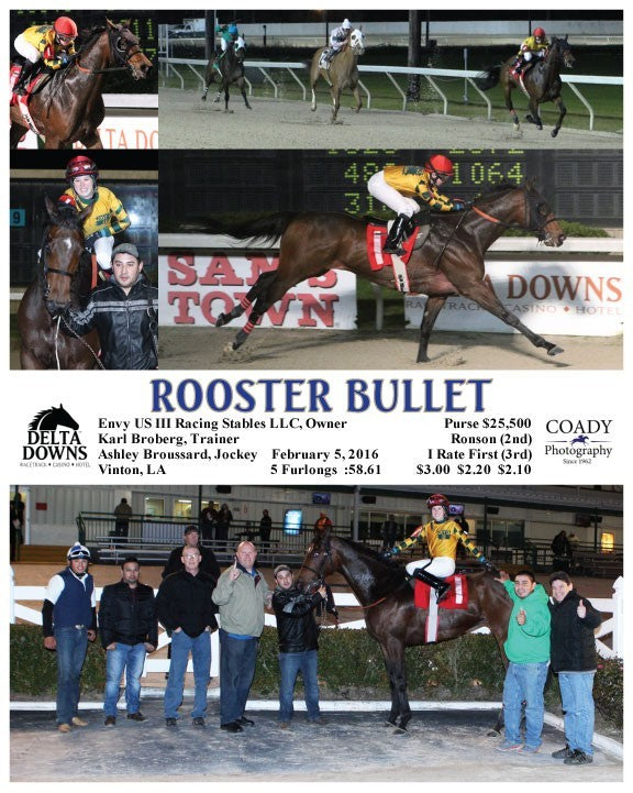 ROOSTER BULLET - 020516 - Race 06 - DED