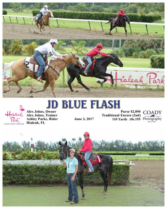 JD BLUE FLASH - 060317 - Race 16 - HIA