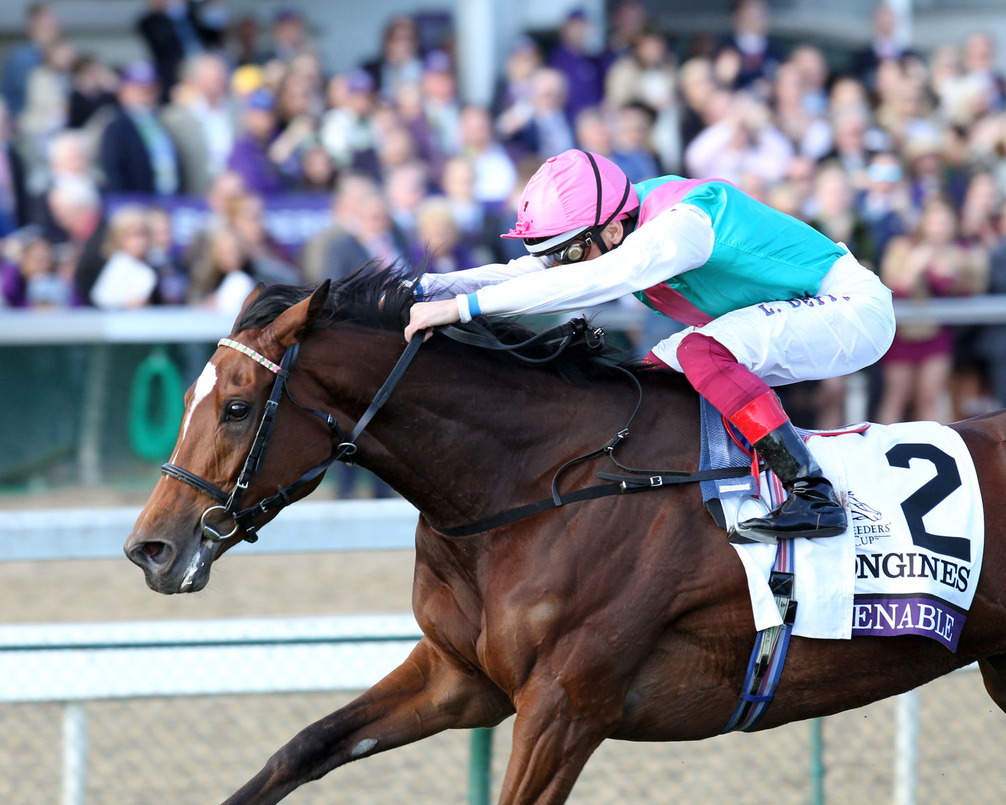 ENABLE - Longines Breeders' Cup Turf G1 - 11-03-18 - R10 - CD - Inside Finish 04