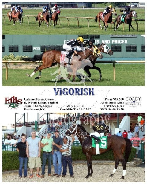 Vigorish - 070414 - Race 09 - ELP