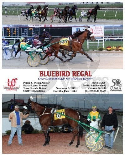 Bluebird Regal - 110612 - Race 01