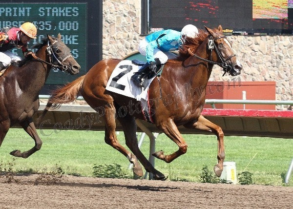 DESERT ALLEY - Finish -  H.B.P.A. Sprint Stakes