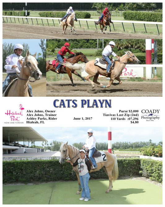 CATS PLAYN - 060117 - Race 14 - HIA