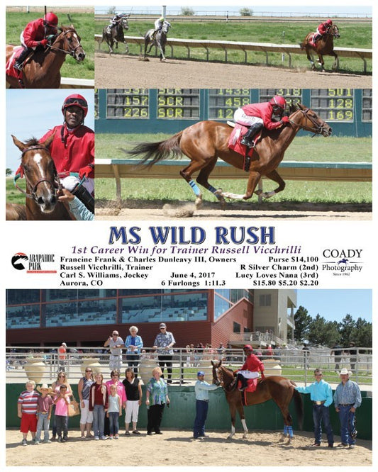 MS WILD RUSH - 060417 - Race 05 - ARP