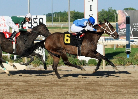 Yeardley - The Indiana First Lady Stakes