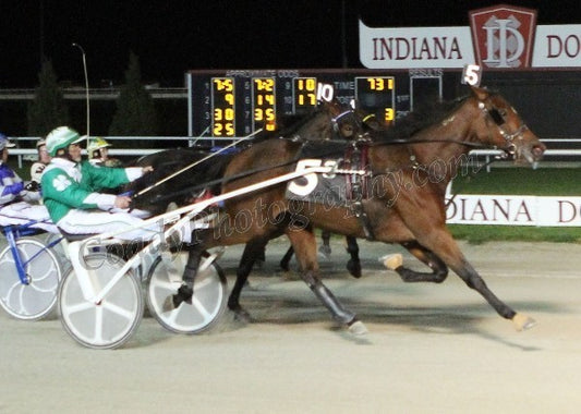 Jesse Lane  -  Indiana Sires Stakes Gold Level