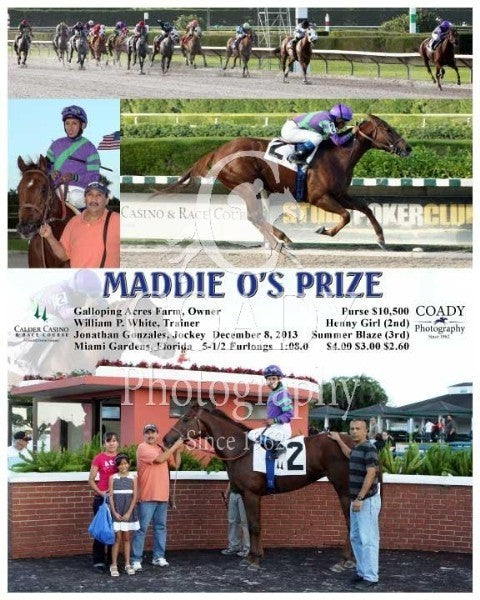 MADDIE O'S PRIZE  - 120813 - Race 08 - CRC
