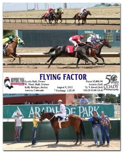 Flying Factor - 080512 - Race 03