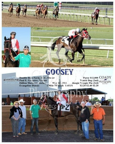 GOOSEY - 051614 - Race 02 - EVD