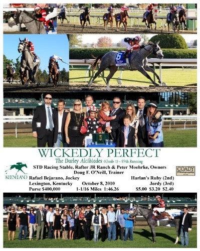 WICKEDLY PERFECT - Darley Alcibiades W/C