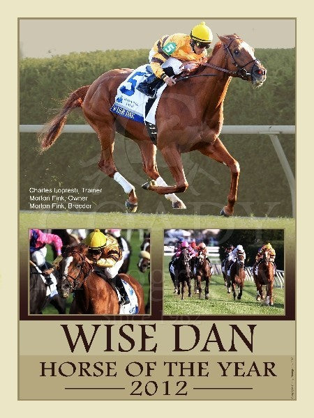 2012 Horse of the Year - Wise Dan - 18x24 Print