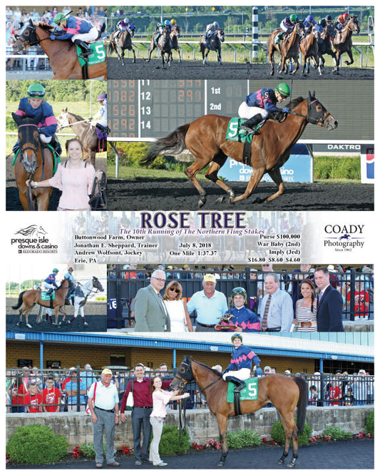 ROSE TREE - 070818 - Race 05 - PID The 10th Running of The Northern Fling Stakes