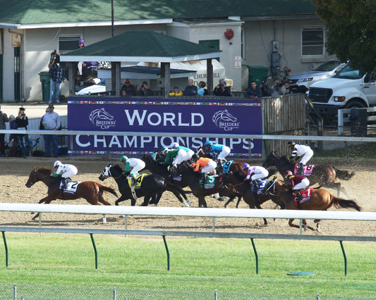 ROY H - Twinspires Breeders' Cup Sprint G1 - 110318 - Race 07 - CD - Aerial Backstretch 01