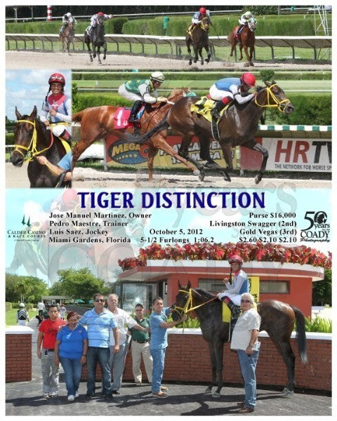 TIGER DISTINCTION - 100512 - Race 01